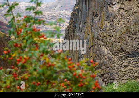 Splendida vista di una formazione rocciosa verticale di basalto in Armenia, caratterizzata dalle sue colonne esagonali uniche e dalla struttura robusta Foto Stock