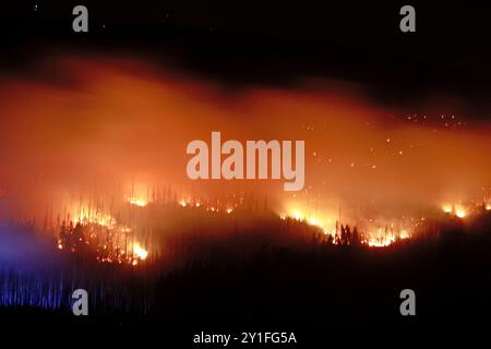 Wernigerode, Germania. 6 settembre 2024. Vista di fiamme e braci sul Königsberg nelle montagne Harz sotto il Brocken. Secondo un portavoce del distretto di Harz, molte aree di fuoco si erano fuse e si era sviluppato un fronte antincendio più grande. Circa 150 vigili del fuoco stanno ora lavorando a terra. Tre aerei e un elicottero sono stati anche coinvolti nel lavoro antincendio. Crediti: Matthias Bein/dpa/Alamy Live News Foto Stock