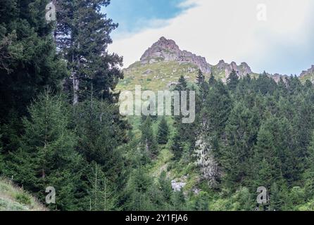 Le pendici illuminate dal sole dell'altopiano di Amaklit a Camlihemsin, con rocce aspre e vegetazione lussureggiante, offrono una vista mozzafiato della natura incontaminata e del tranqu Foto Stock