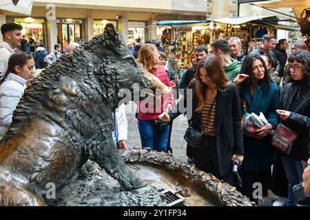 Un turista che tocca il naso della "Fontana del maialino" nel mercato nuovo, un gesto che si ritiene porti fortuna, Firenze, Toscana, Italia Foto Stock