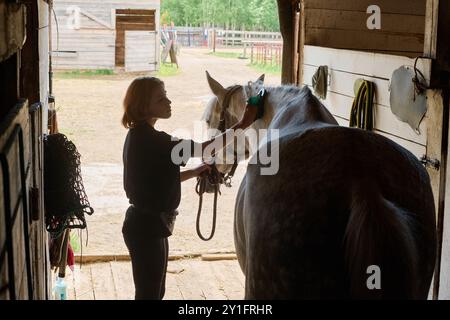 La persona pulisce delicatamente il cavallo all'interno del fienile con la porta aperta che rivela il paddock all'aperto e i campi verdi Foto Stock