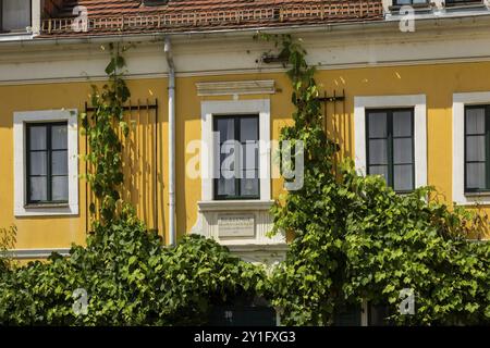 Inserita nell'elenco Wieck House a Loschwitz, Friedrich-Wieck-Strasse 10, Dresda Loschwitz, Dresda, Sassonia, Germania, Europa Foto Stock