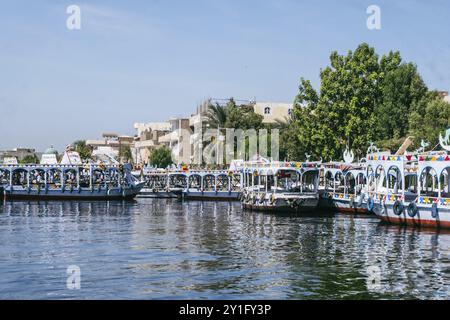 Immergiti nella bellezza di Luxor mentre navighi lungo le tranquille acque del Nilo. Questa foto mozzafiato cattura la vivace Luxor p Foto Stock