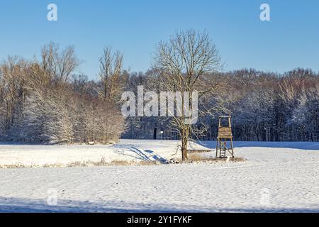 Inverno Foto Stock