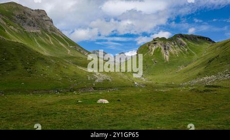 Vista alpina panoramica vicino al passo Julier nelle Alpi di Albula con pascoli verdi, piccoli torrenti di montagna e cime montuose nei Grigioni in Svizzera Foto Stock