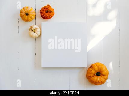 Cornice vuota con decorazioni autunnali di zucca su pavimento in legno bianco. Il giorno del Ringraziamento, fondo piatto sul podio. Vista dal tavolo di Halloween. Piatto l Foto Stock