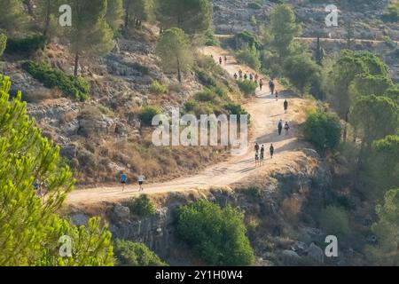 Gerusalemme, Israele - 13 luglio 2024: Persone che camminano e corrono su un sentiero forestale nelle montagne della Giudea in una mattinata di sole. Foto Stock