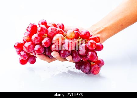 Mano che tiene fresco rosso a grappolo di uva isolati su sfondo bianco Foto Stock
