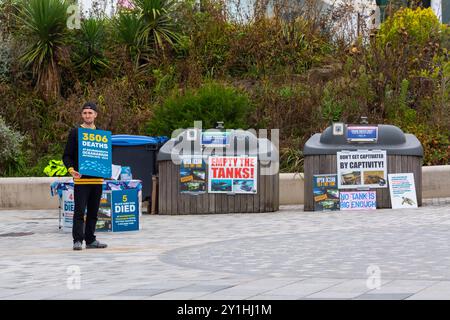 Bournemouth, Dorset, Regno Unito. 7 settembre 2024. Gli attivisti per i diritti degli animali protestano fuori dal Bournemouth Oceanarium per raccogliere firme per la loro petizione di chiusura dell'Oceanarium, sostenendo 3506 morti tra il 2018 e il 2023. Crediti: Carolyn Jenkins/Alamy Live News Foto Stock