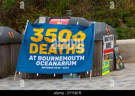 Bournemouth, Dorset, Regno Unito. 7 settembre 2024. Gli attivisti per i diritti degli animali protestano fuori dal Bournemouth Oceanarium per raccogliere firme per la loro petizione di chiusura dell'Oceanarium, sostenendo 3506 morti tra il 2018 e il 2023. Crediti: Carolyn Jenkins/Alamy Live News Foto Stock