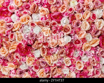 Symphony in Red, Pink e White Roses. Sfondo colorato di fiori. Foto concept design e moda. Foto Stock