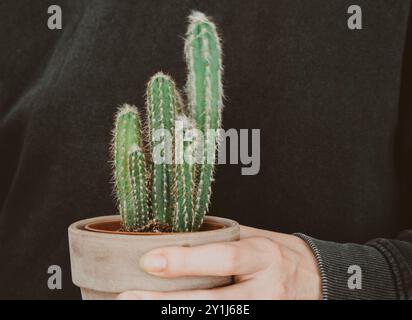 Un primo piano di una mano che tiene un piccolo cactus in vaso con spine verdi vibranti, adagiato su uno sfondo scuro, evidenziandone la texture naturale e il mini Foto Stock