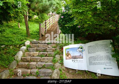 Sokcho, Corea del Sud - 28 luglio 2024: Scale in pietra e legno si snodano attraverso una lussureggiante vegetazione verso il Padiglione dell'alba di Yeonggeum. Un informatore Foto Stock