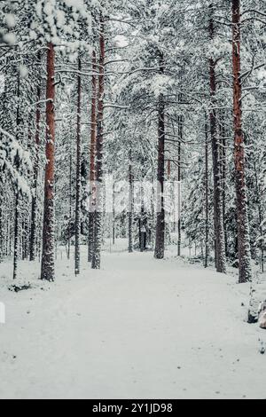 Percorso attraverso la foresta invernale delle meraviglie a Rovaniemi, Lapponia nella neve Foto Stock