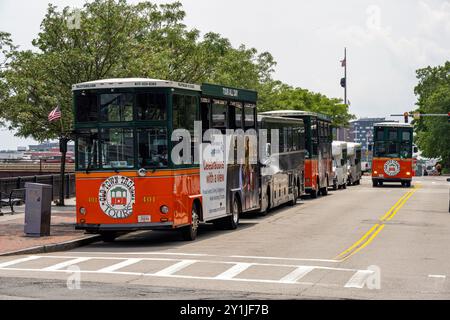 Tour in tram della città vecchia di Boston Foto Stock