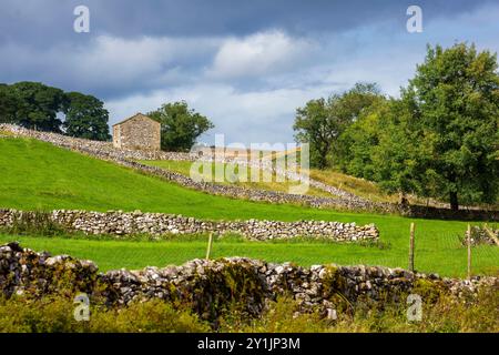 Deepdale, Langstrothdale, Yorkshire Dales National Park. Fienile in pietra e iconici muri a secco che circondano i pascoli lungo il fiume Wharfe. Foto Stock