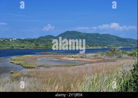 Splendida e vivace vista aerea del paesaggio della laguna del lago di Korission, dell'isola di Corfù, della Grecia con lo stormo di fenicotteri rosa, della spiaggia del mare ionico e delle montagne. Foto Stock