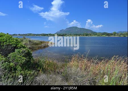 Splendida e vivace vista aerea del paesaggio della laguna del lago di Korission, dell'isola di Corfù, della Grecia con lo stormo di fenicotteri rosa, della spiaggia del mare ionico e delle montagne. Foto Stock