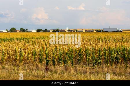 Paesaggio rurale del Colorado nel tardo pomeriggio estivo Foto Stock