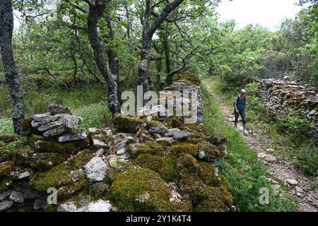 Camminata o camminata lungo il sentiero forestale o il sentiero pedonale nella foresta vicino al parco regionale del Luberon di Bonnieux Vaucluse Provence Francia Foto Stock