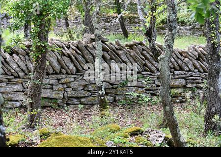 Muro di pietra secca nella foresta vicino a Bonnieux Luberon Provenza Francia Foto Stock