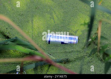 Le bevande in alluminio possono essere utilizzate nel canale con la fioritura delle alghe a radcliffe, Greater manchester, regno unito Foto Stock