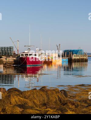 Le barche da pesca dai colori vivaci, adornate da trappole per aragosta, sono attraccate nelle acque calme e limpide, mentre un mucchio di alghe si trova vicino alla riva. Questo Foto Stock