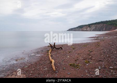 Il passaggio intempestivo riposa su Broad Cove Beach nel Cape Breton Highlands National Park, nuova Scozia, Canada Foto Stock