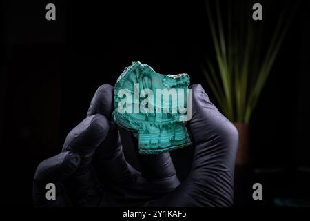 fetta di malachite lucida tenuta con guanti neri su sfondo nero Foto Stock