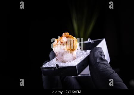 wulfenite in perky box con guanti neri a mano su sfondo nero. Esemplare di Los Lamentos, Chihuahua, Messico Foto Stock