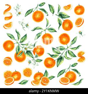 Set di acquerelli arancioni disegnati a mano Foto Stock