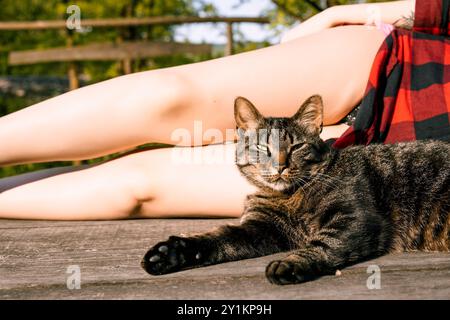 Il gatto Tabby con gli occhi verdi si rilassa su un ponte di legno al sole, mentre una donna con una camicia rossa a quadri gode del momento di pace Foto Stock