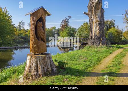 Roeder Foto Stock