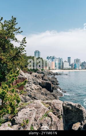 Vista dell'isola di Dongbaekseom e della spiaggia di Haeundae a Busan, Corea Foto Stock