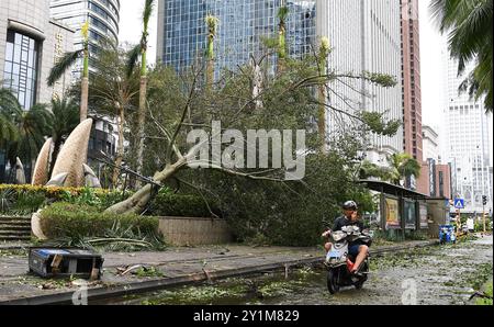 Pechino, la provincia cinese di Hainan. 7 settembre 2024. Un albero caduto è visto in una strada di Haikou, nella provincia cinese di Hainan, 7 settembre 2024. Alle 15 di sabato, il Super Typhoon Yagi ha ucciso quattro persone e ferito altre 95 nella provincia di Hainan della Cina meridionale, hanno detto le autorità locali in una conferenza stampa di sabato sera. Yagi, l'undicesimo tifone dell'anno, sbarcò due volte il venerdì, colpendo prima la provincia di Hainan e poi la provincia di Guangdong. Crediti: Yang Guanyu/Xinhua/Alamy Live News Foto Stock