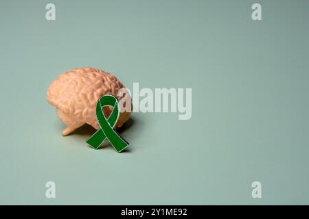 Immagine ravvicinata del cervello e del nastro verde. Copia spazio per il testo. Concetto di consapevolezza della salute mentale. Foto Stock