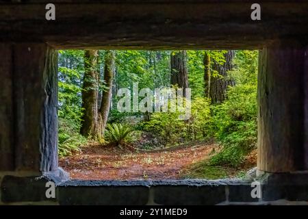 Padiglione per picnic in un parco rustico costruito dal Civilian Conservation Corps negli anni '1930 nel Twanoh State Park, Washington State, USA Foto Stock