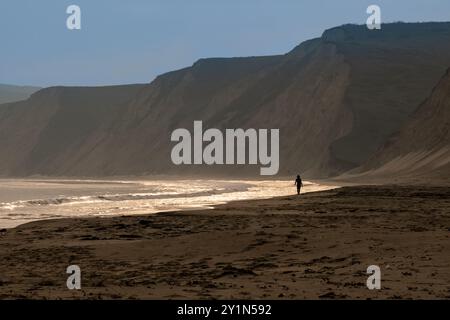 Un camminatore solitario in silhouette passeggia in lontananza lungo il bordo di Drake's Beach nel Point Reyes National Seashore nella contea di Marin, California. Foto Stock