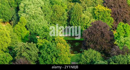 Vista aerea di un lussureggiante parco verde con una varietà di alberi in diverse sfumature di verde, con un piccolo laghetto circondato da sentieri per passeggiate. Foto Stock