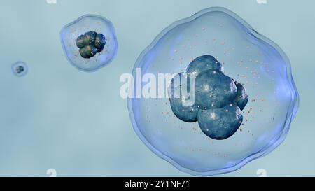 rendering 3d di una vista microscopica di più cellule, ciascuna circondata da una membrana traslucida e contenente strutture interne più piccole. Foto Stock