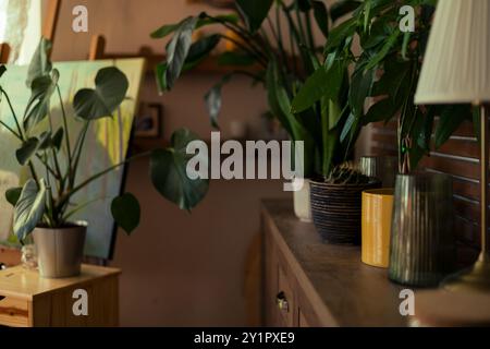 Collezione di varie piante d'appartamento tropicali esposte in salotto. Piante esotiche in vaso. Giardino di casa, giungla urbana. Foto Stock