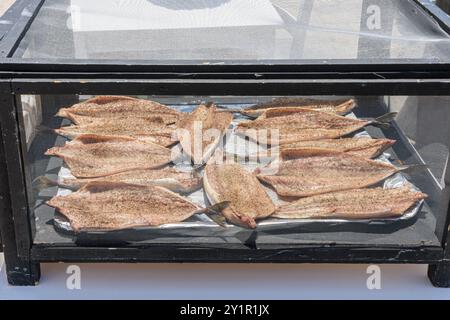 Il pesce si asciuga al sole sotto la rete a mosca in una taverna a Naxos, Cicladi, Grecia Foto Stock