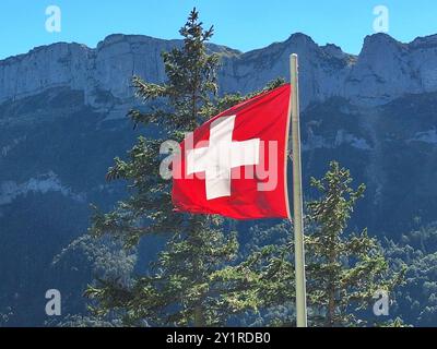 Appenzello Themenbild - Berggasthaus Aescher im Alpstein, regione Appenzello, Appenzello, Innerrhoden Themenbild - Berggasthaus Aescher im Alpstein, regione Appenzello, Appenzellerland, Innerrhoden die schweizer Nationalflagge, Flagge weht im Wind. DAS berühmte Berggasthaus Aescher im Appenzellerland im Alpsteinmassiv, im Kanton Appenzell. DAS im Jahre 1846 erbaute Berggasthaus Aescher auf 1454 m liegt im Schweizer Kanton Appenzell Innerrhoden im Bezirk Schwende- Featurebild, Symbolbild, Themenbild *** Appenzell Theme picture mountain inn Aescher in the Alpstein, regione Appenzell, Appenzellerl Foto Stock