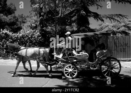 Il fascino monocromatico del vecchio mondo è una carrozza trainata da cavalli in un paesaggio urbano carico di graffiti a ıstanbul, turchia Foto Stock