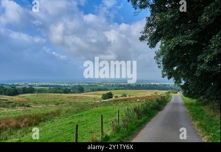 Guardando dall'altra parte della Eden Valley dalla Pennine Way, vicino a Bow Hall, Dufton, Cumbria Foto Stock