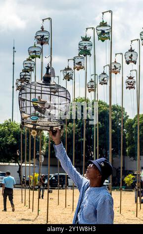 Yogyakarta, Indonesia. 8 settembre 2024. Un uomo si prepara per un concorso di cinguettio a turtledove a Yogyakarta, Indonesia, 8 settembre 2024. Crediti: Agung Supriyanto/Xinhua/Alamy Live News Foto Stock