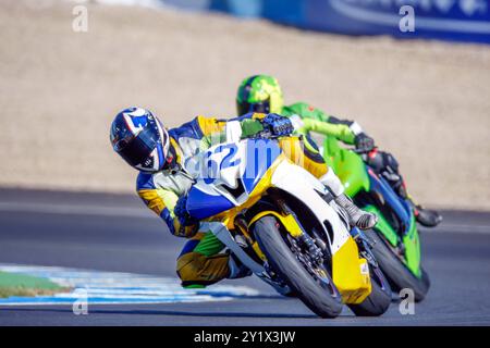 Riprese dinamiche di motociclisti professionisti in azione, che corrono in velocità su un circuito da corsa. Cattura l'emozione e l'intensità del motociclista competitivo Foto Stock