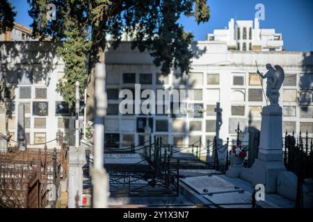 Una tranquilla scena nel Cementerio de la Salud, Cordova, con la statua dell'Arcangelo San Rafael. L'atmosfera è tranquilla e riflette temi Foto Stock