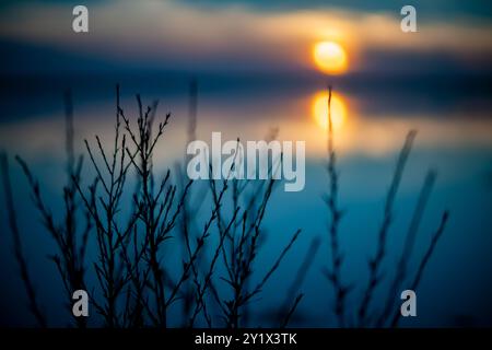 Un tranquillo paesaggio invernale caratterizzato da campi allagati a Isla Mayor, Siviglia, Spagna, che mostra l'inizio della coltivazione del riso in mezzo a un tranquillo sole Foto Stock