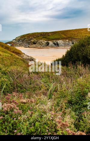 Splendido percorso costiero della Cornovaglia a Crantock, in Cornovaglia Foto Stock